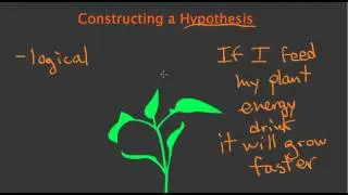 Constructing a Hypothesis