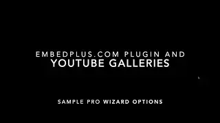 YouTube WordPress Plugin Pro Settings for Galleries