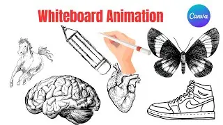 How to Create a Whiteboard Animation video in canva