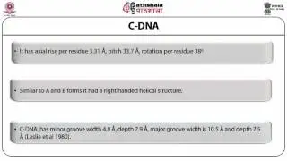 Chargaff rule, DNA polymorphism