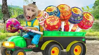 Bim Bim monkey family is joyfully harvesting giant candy