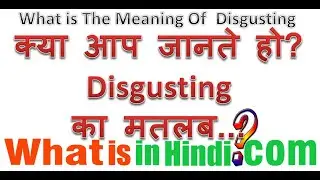 What is the meaning of disgusting in Hindi | Disgusting ka matlab kya hota hai