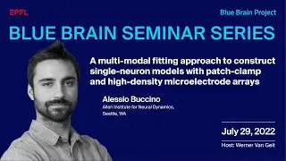 Blue Brain Seminar Series with Alessio Buccino from the Allen Institute for Neural Dynamics, US