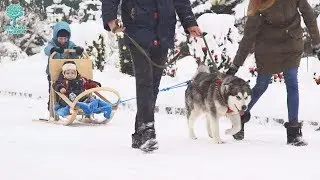 Фельдман Экопарк открыл сезон зимних забав