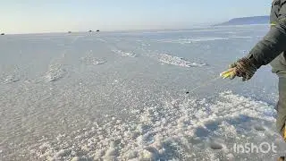 Рыбалка  Что может быть лучше. Японское море. Амурский залив. Рыбалка зимой. Навага. Зубарь.