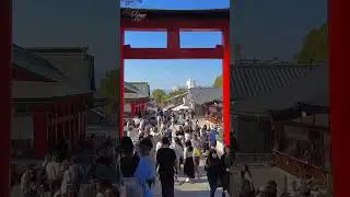 Japan 🇯🇵