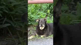 Когда нет настроения