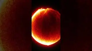 5 billion Suns could fit in UY Scuti, one of the biggest known stars! #physics #science #cosmos