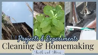 Clean With Me 2020 | Homemaking Projects & Experiments | How To Clean Grout