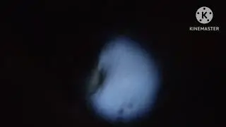 запись 1