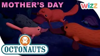 ‪@Octonauts‬