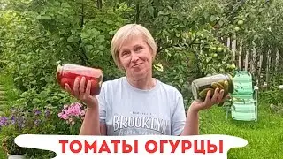 МАРИНУЕМ / ОГУРЦЫ СЛАДКИЕ / ПОМИДОРЫ ВКУСНЫЕ