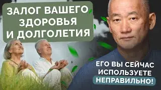 Залог вашего здоровья и долголетия. Его вы сейчас используете неправильно!