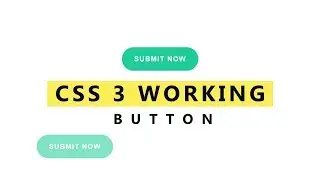 Submit Now CSS 3 Button Animation Effects   Website Design