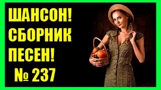 ШАНСОН. Сборник - 237  "Снежинки февраля"  (2024)