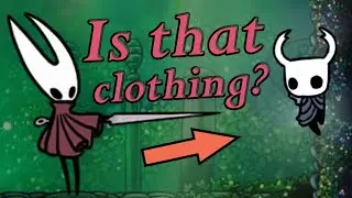 Explaining Why Vessels Wear Cloaks | Hollow Knight Lore