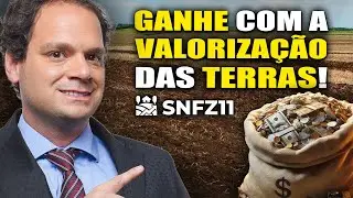 SNFZ11: Novo Fundo BASE 10 Que Investe em TERRAS AGRÍCOLAS!