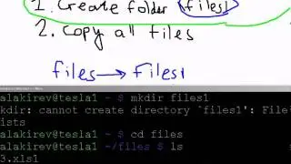 Copy folder in Linux