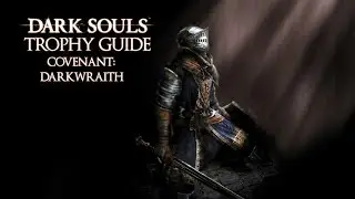 Dark Souls - Covenant: Darkwraith Trophy / Achievement Guide