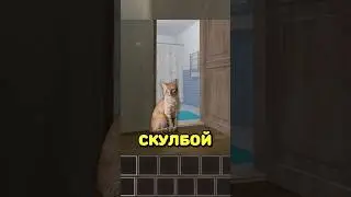😳У АНДРЕЯ ЕСТЬ КОШКА В СКУЛБОЙ РАНАВЕЙ 🐈 