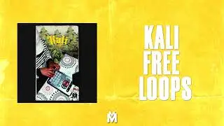 MONROE BEATZ|KALI FREE DRUMS LOOPS SP-404SX