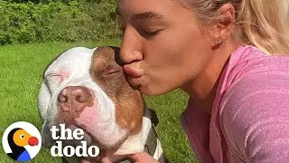 Sweet Dog Has To Wear A Muzzle Because Of His Breed | The Dodo