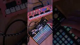 Chompi + Deluge #synth #music #synthesizer #sampler