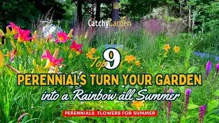 These 9 Perennials Turn Your Garden into a Rainbow ALL Summer 🌹☀️🌷 // Landscaping Ideas