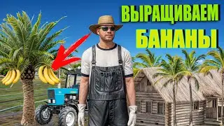 ВЫРАЩИВАЕМ НА ФЕРМЕ БАНАНЫ. ФЕРМА НА GTA 5 RP Majestic