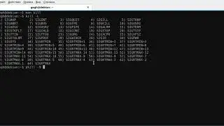 Как убить процесс в линукс