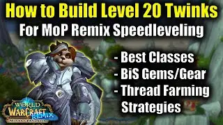 How to Build Level 20 Twinks in MoP Remix