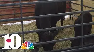 Learn about AG Alley at the Tennessee Valley Fair