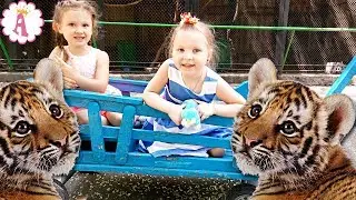 Best Zoo in Ukraine Nikolaev Zoo 2017 VLOG by Queen Alice Toys Tiger Cubs Playing Video for Kids