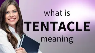 Tentacle | what is TENTACLE meaning