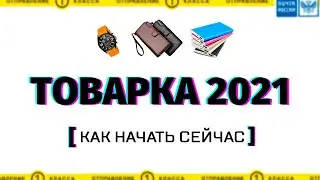 Товарка 2021. Как запустить товарный бизнес по шагам. Сапыч.