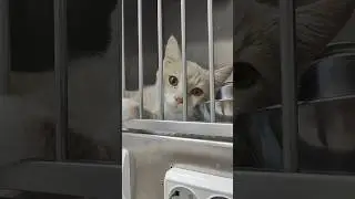 Моя батарейка. Где брать энергию. вот у таких зажигательных детей.