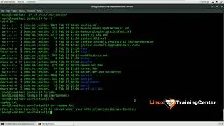 3.4 Директории и файлы конфигурации Jenkins | Linux для начинающих