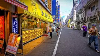 Japan: Tokyo Ueno, Naka-Okachimachi Summer Walk • 4K HDR