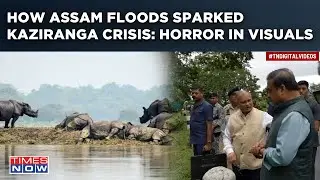 Assam Floods: Shocking Scenes From Kaziranga National Park| CM Himanta Reacts As Wildlife Hit Hard