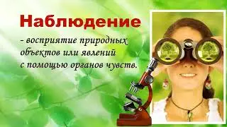 Презентация на тему методы биологии. Биология 5 класс