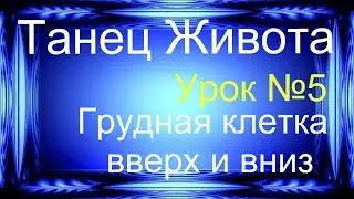 Беллиданс урок для начинающих №5 