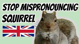 How to say SQUIRREL in British English 