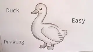 how to draw duck drawing || duck drawing easy || pencil drawing