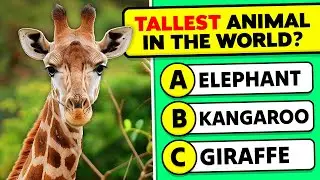 General Knowledge Questions About Animals! 🐘🧠🤯 Animals Knowledge Trivia Questions and Answers