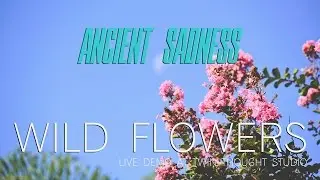 Wild Flowers - ANCIENT SADNESS (live at Twin Thought Studio)