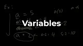 What are Variables? A Python Example