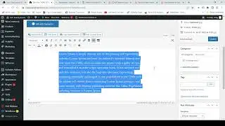 How to Add a Blog Post in WordPress - WordPress Web Design Hollywood FL