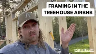 Main Structure of the Tree House Is Done! | Tiny Home