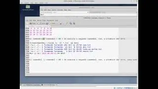 Tutorial comandos iniciais Debian 10 Buster em VirtualBox #7