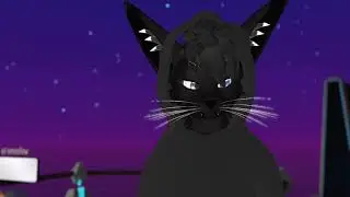 1 YEAR IN THE METAVERSE (VRCHAT)